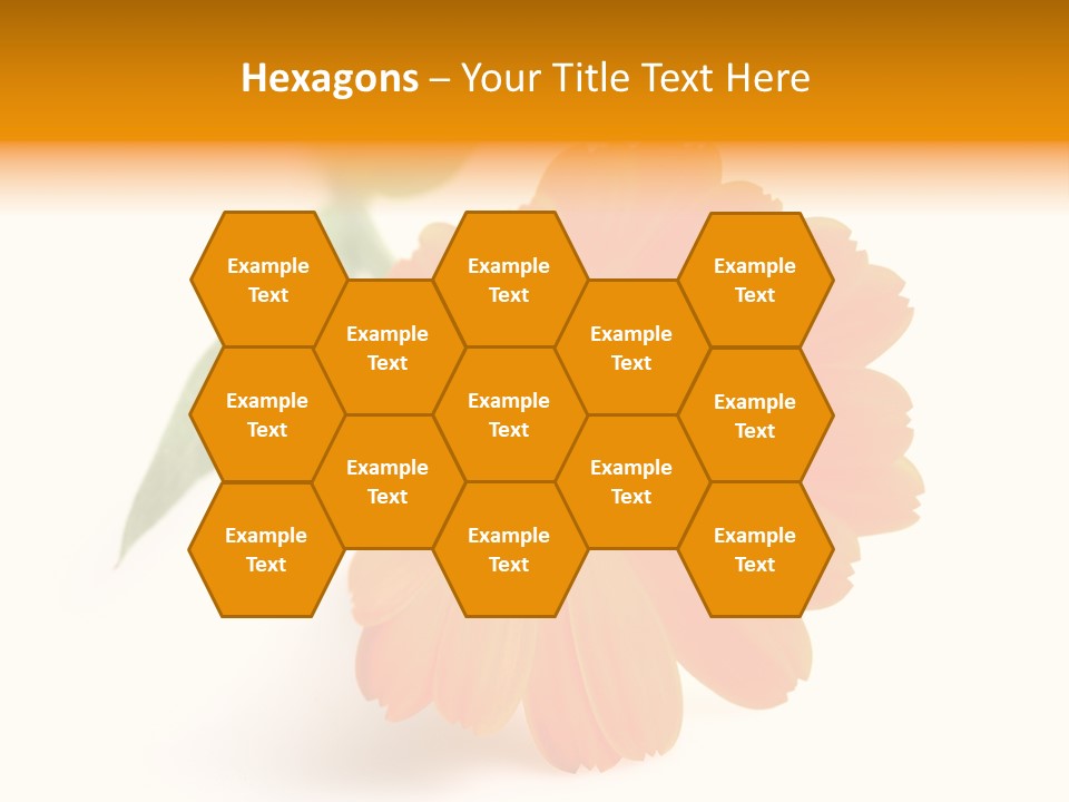 Beauty Flowers Calendula PowerPoint Template