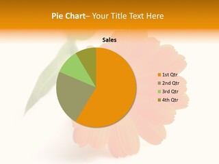 Beauty Flowers Calendula PowerPoint Template