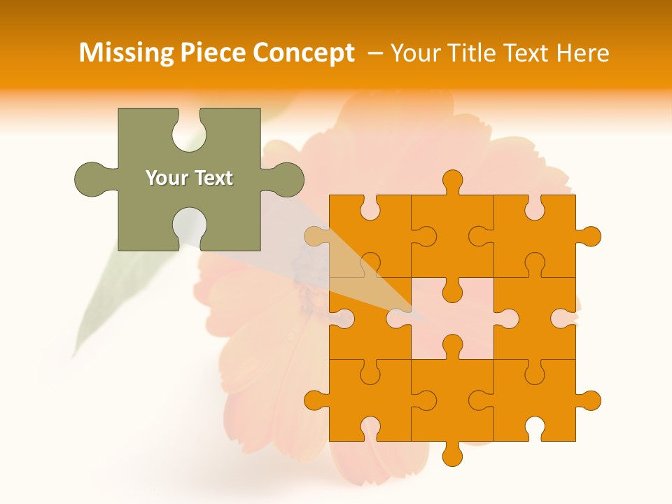 Beauty Flowers Calendula PowerPoint Template