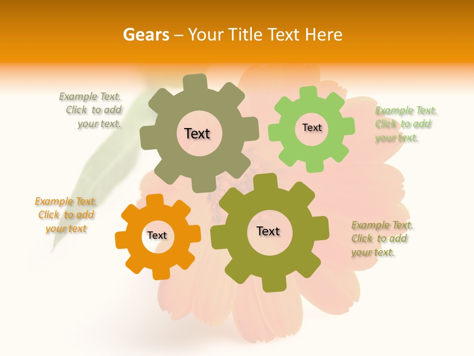 Beauty Flowers Calendula PowerPoint Template