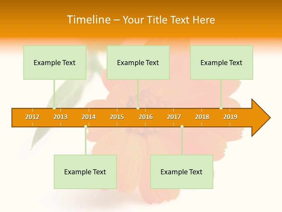 Beauty Flowers Calendula PowerPoint Template