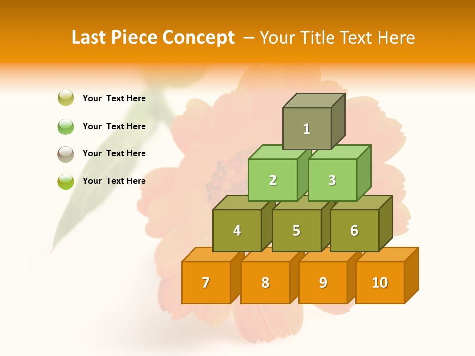 Beauty Flowers Calendula PowerPoint Template