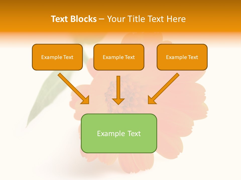 Beauty Flowers Calendula PowerPoint Template