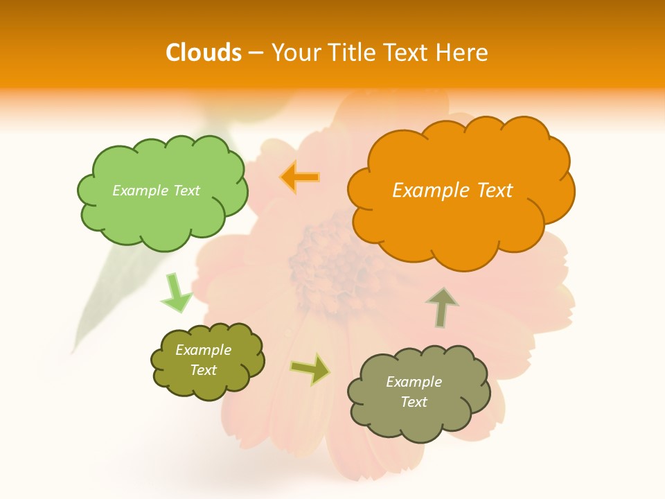Beauty Flowers Calendula PowerPoint Template