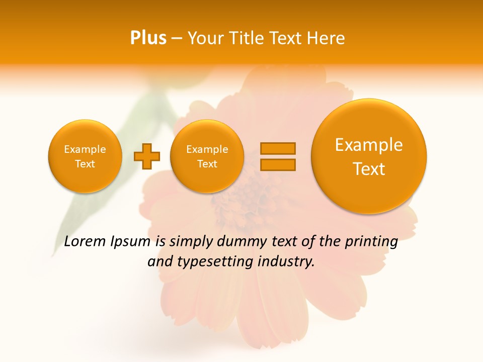 Beauty Flowers Calendula PowerPoint Template