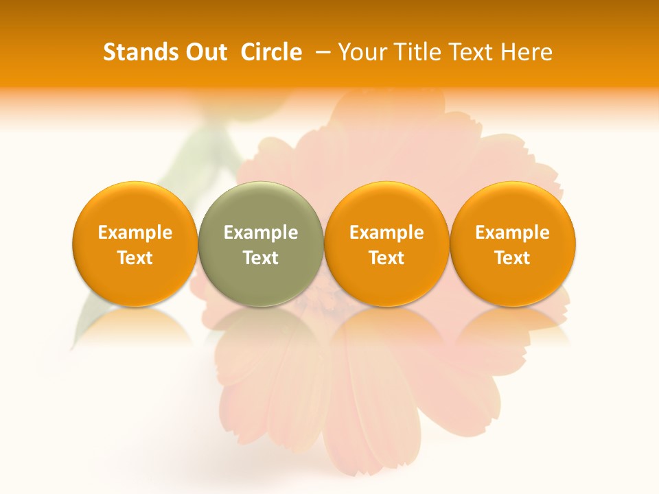 Beauty Flowers Calendula PowerPoint Template