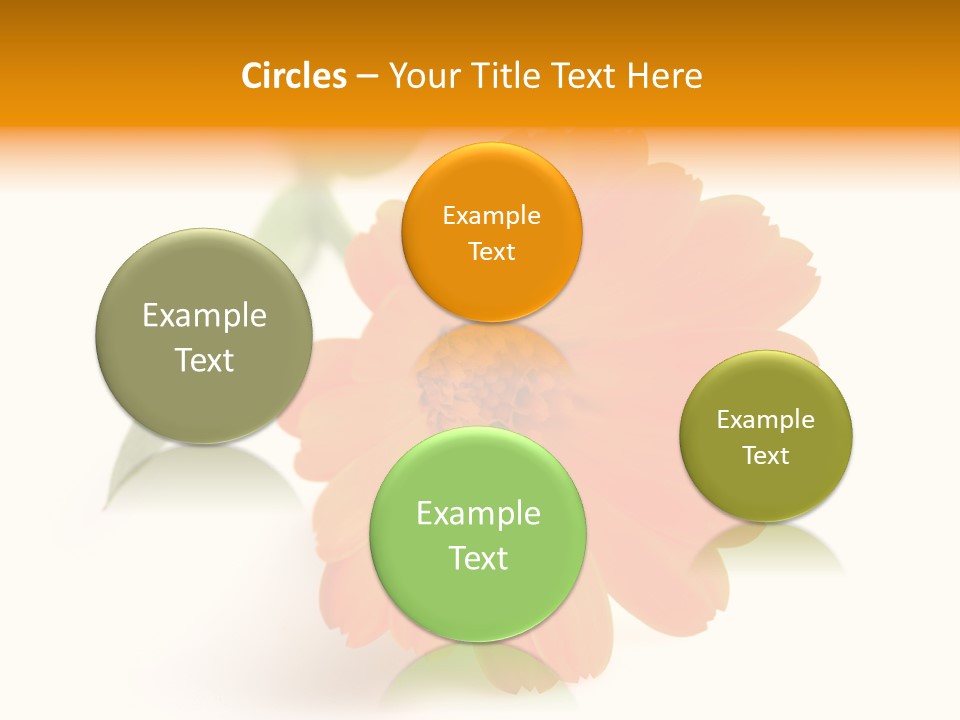 Beauty Flowers Calendula PowerPoint Template