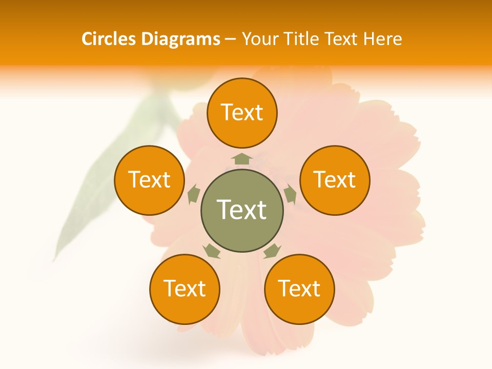 Beauty Flowers Calendula PowerPoint Template