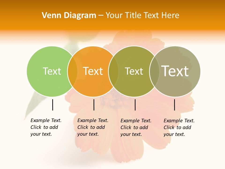 Beauty Flowers Calendula PowerPoint Template