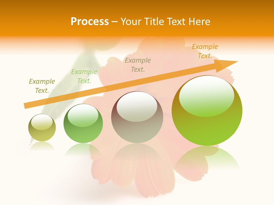 Beauty Flowers Calendula PowerPoint Template