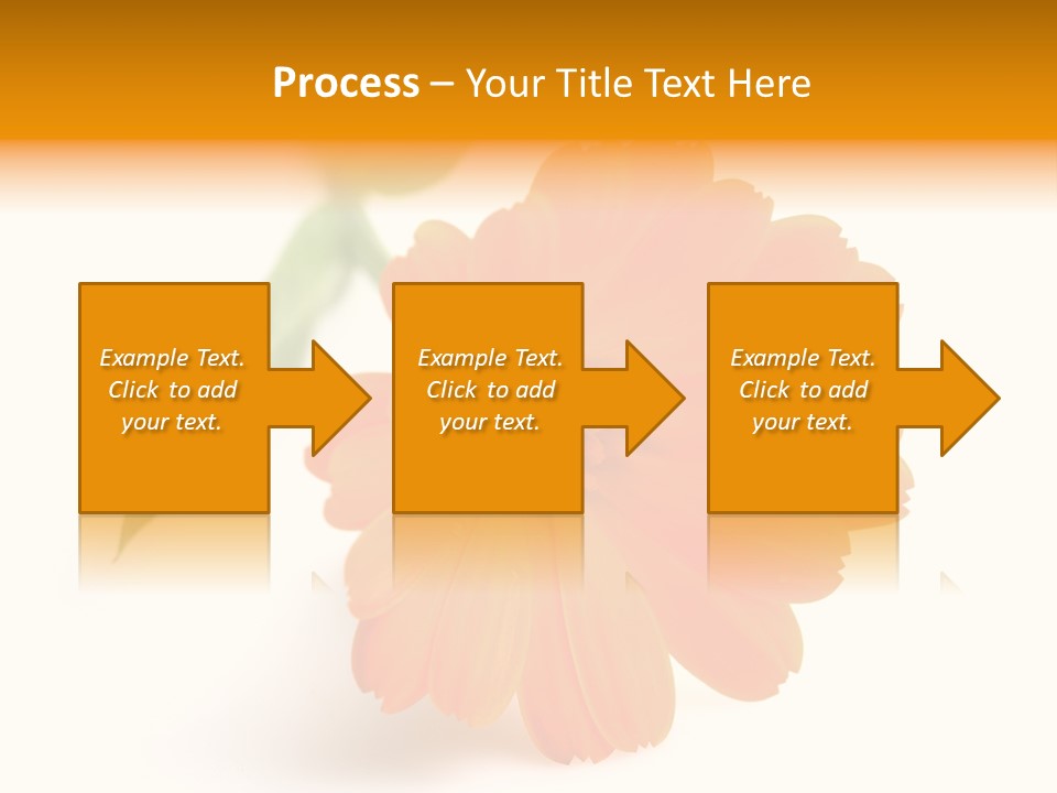 Beauty Flowers Calendula PowerPoint Template