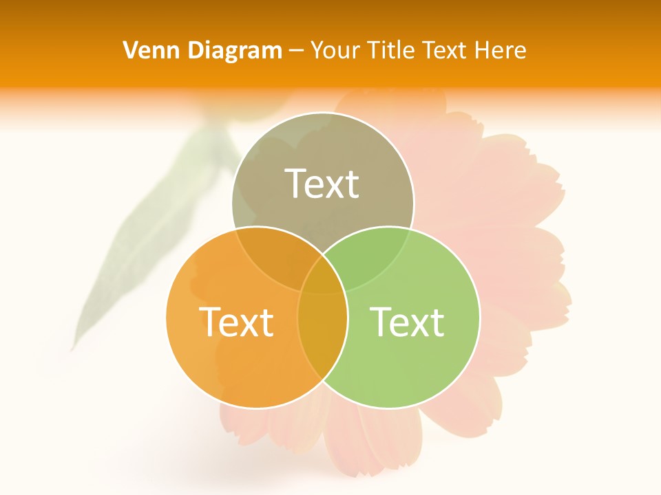 Beauty Flowers Calendula PowerPoint Template