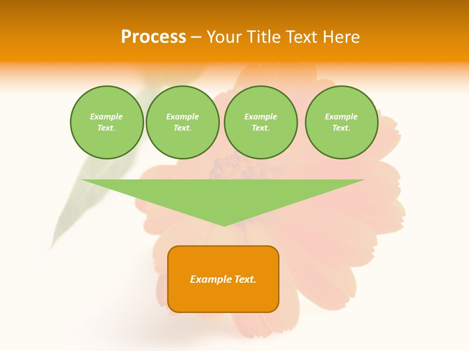 Beauty Flowers Calendula PowerPoint Template