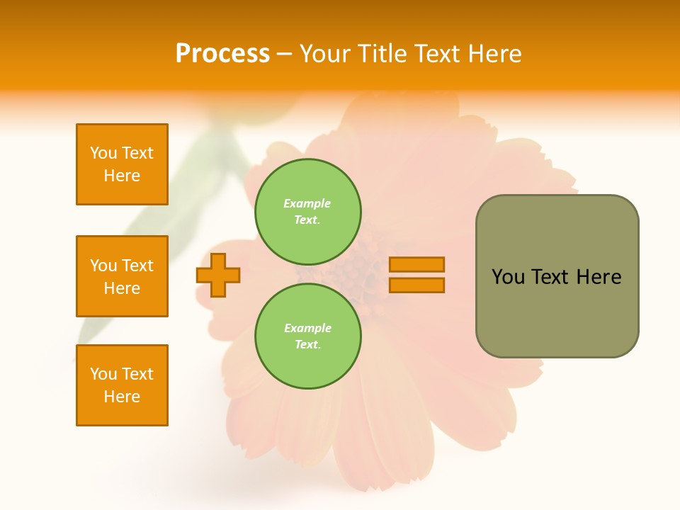 Beauty Flowers Calendula PowerPoint Template