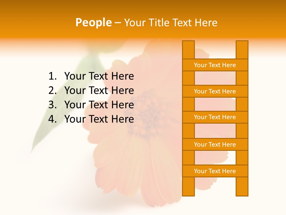 Beauty Flowers Calendula PowerPoint Template