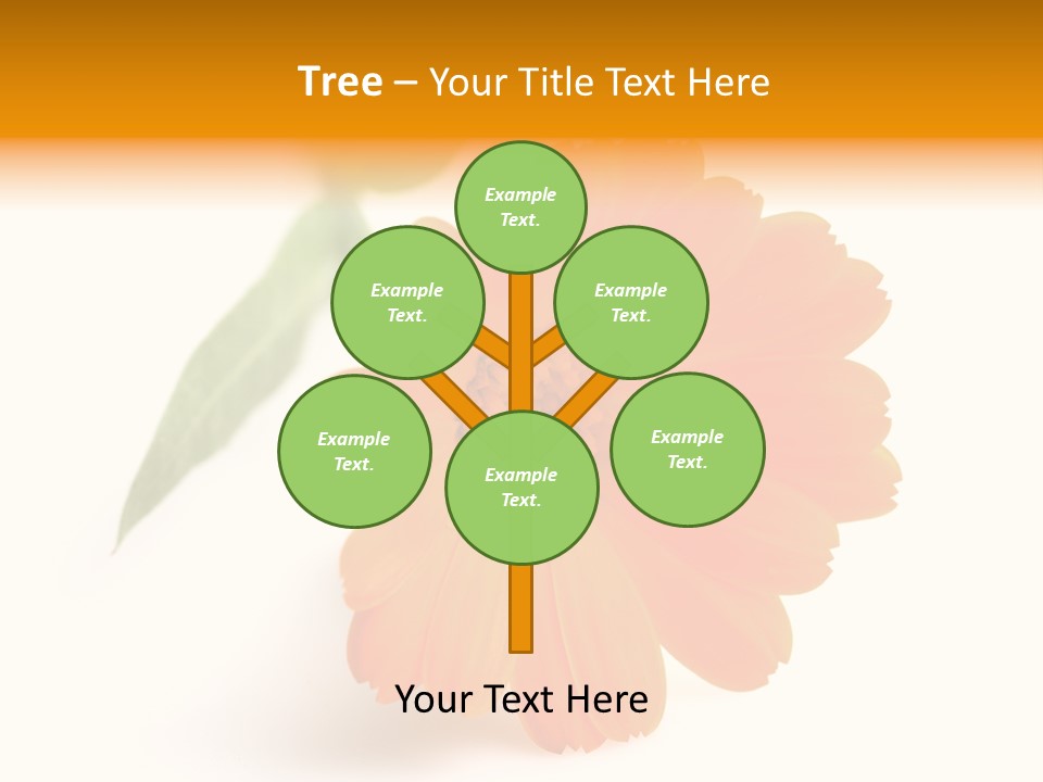 Beauty Flowers Calendula PowerPoint Template