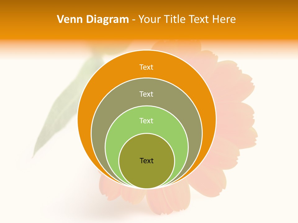 Beauty Flowers Calendula PowerPoint Template