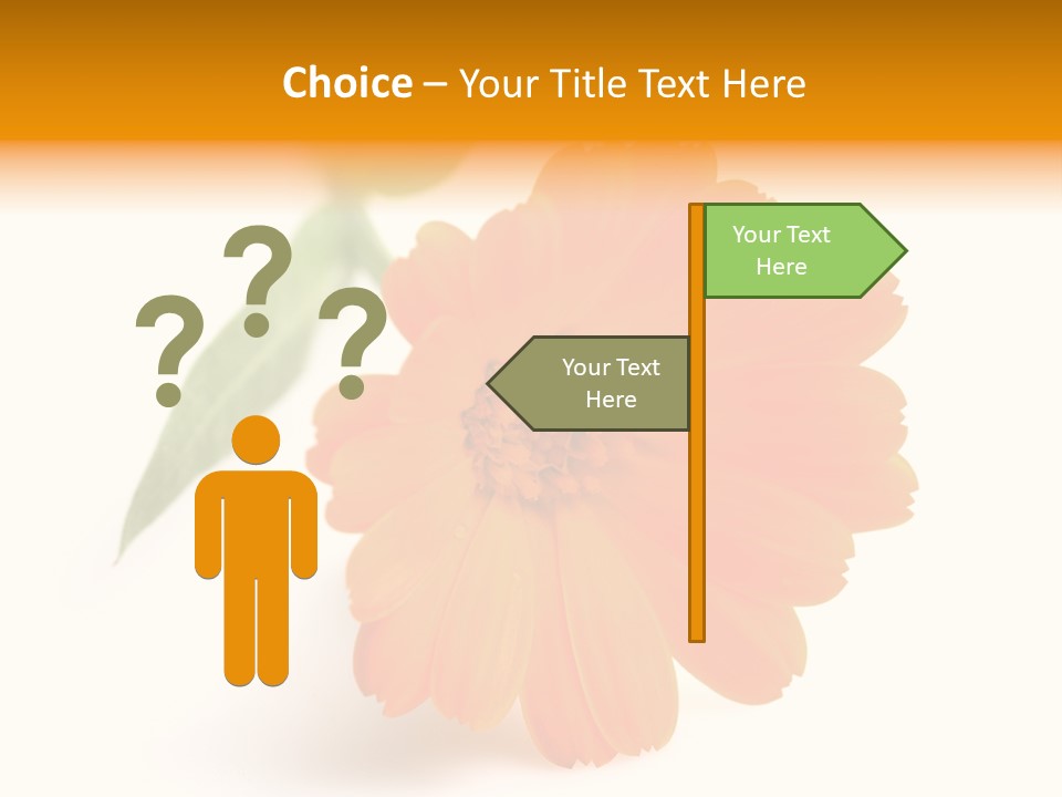 Beauty Flowers Calendula PowerPoint Template