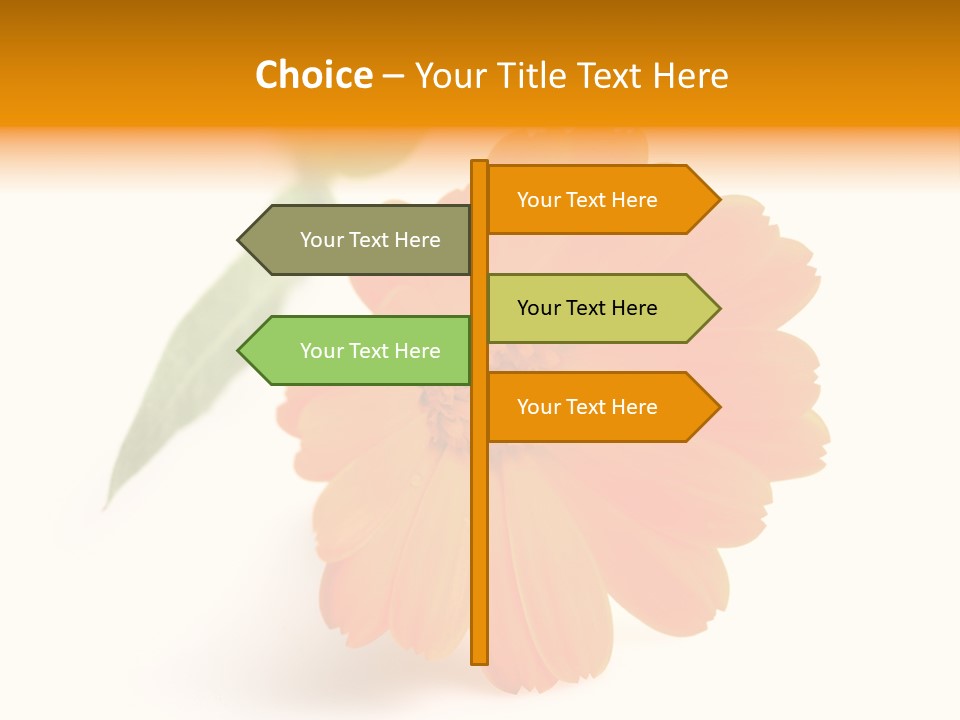 Beauty Flowers Calendula PowerPoint Template