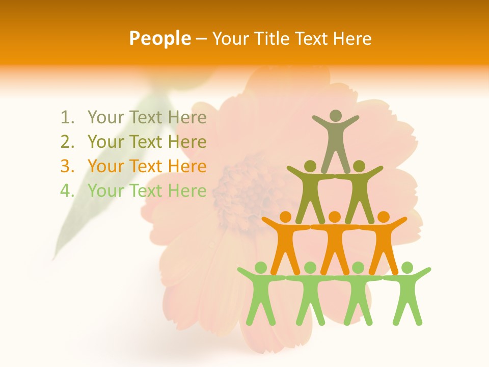 Beauty Flowers Calendula PowerPoint Template