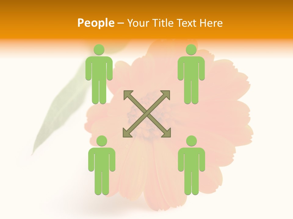 Beauty Flowers Calendula PowerPoint Template