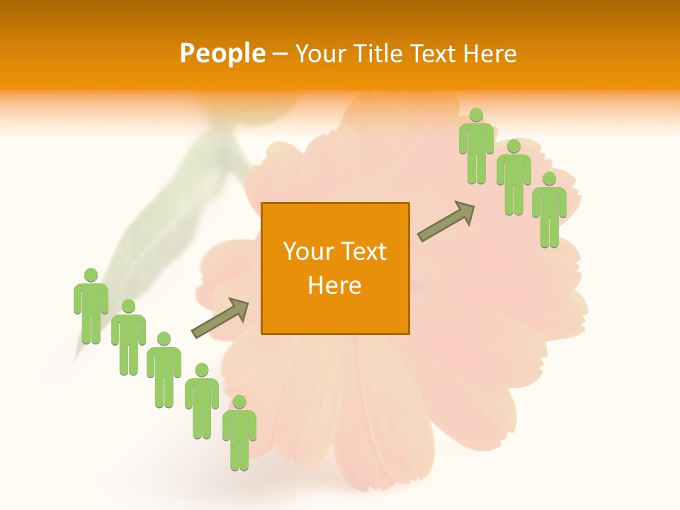 Beauty Flowers Calendula PowerPoint Template