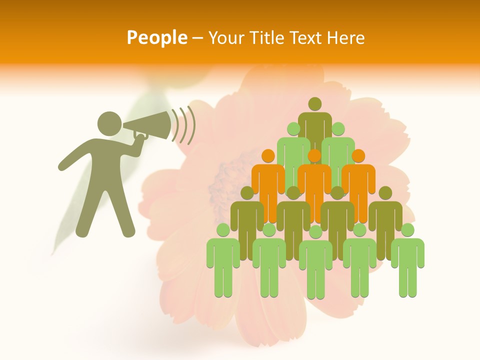 Beauty Flowers Calendula PowerPoint Template