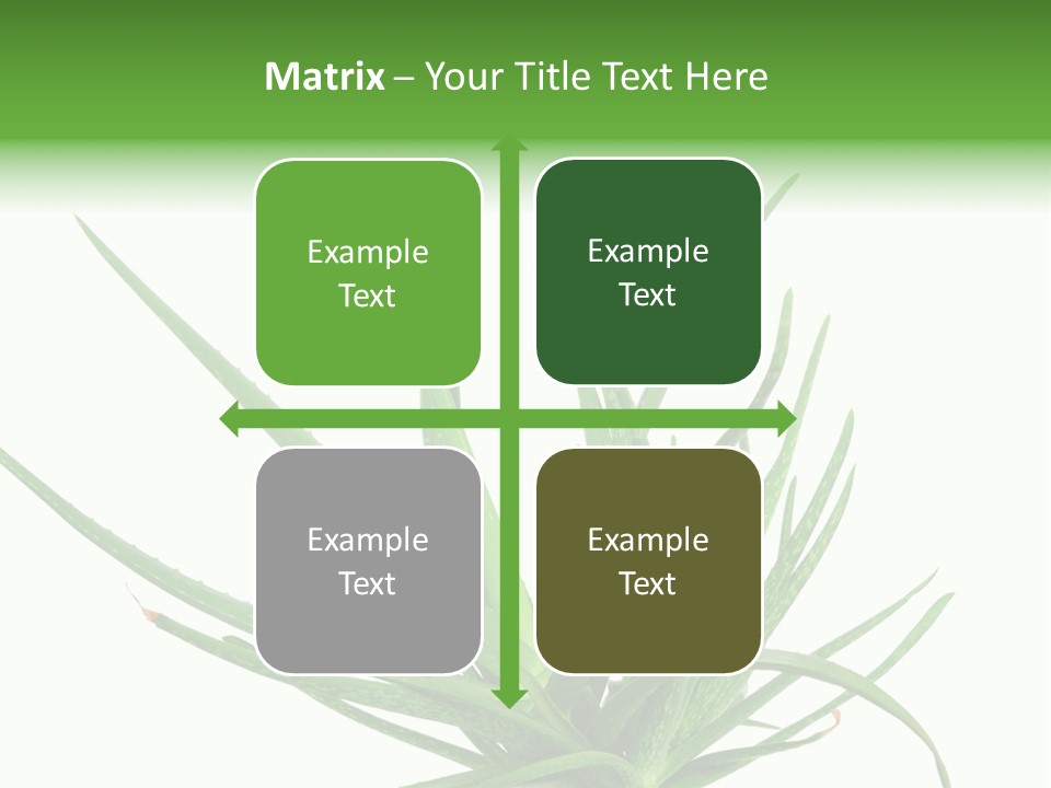 Latte Fresh Froth PowerPoint Template