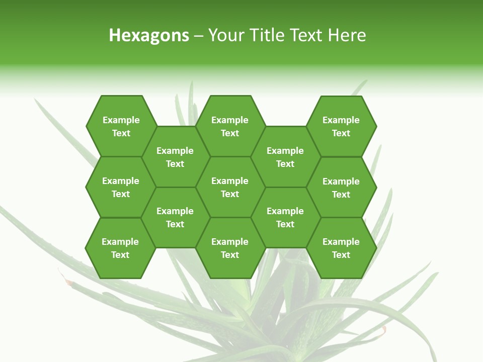 Latte Fresh Froth PowerPoint Template