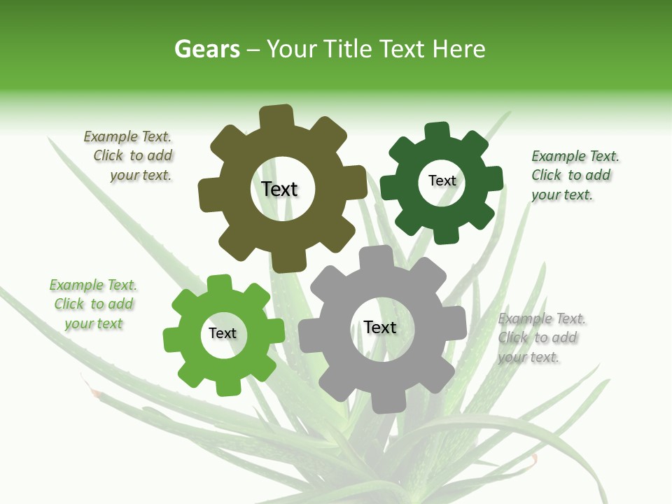 Latte Fresh Froth PowerPoint Template