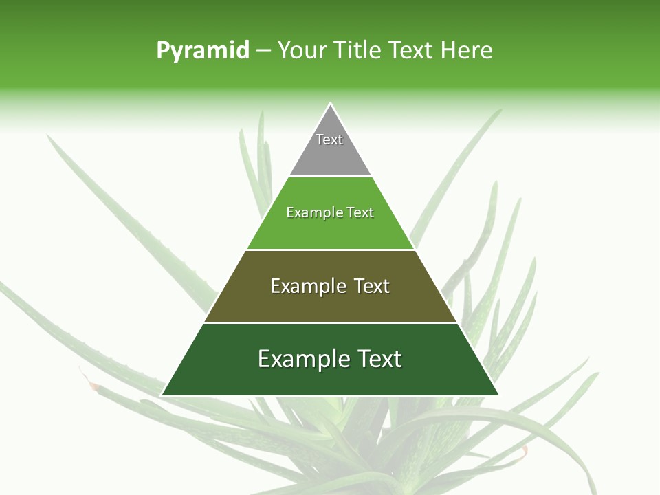 Latte Fresh Froth PowerPoint Template