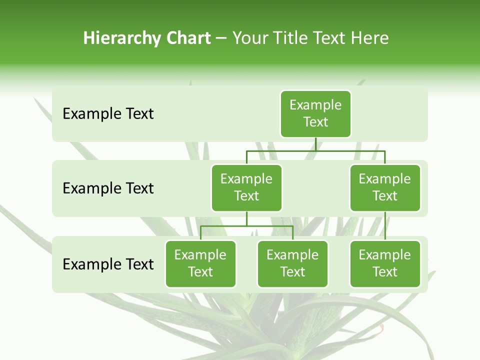 Latte Fresh Froth PowerPoint Template