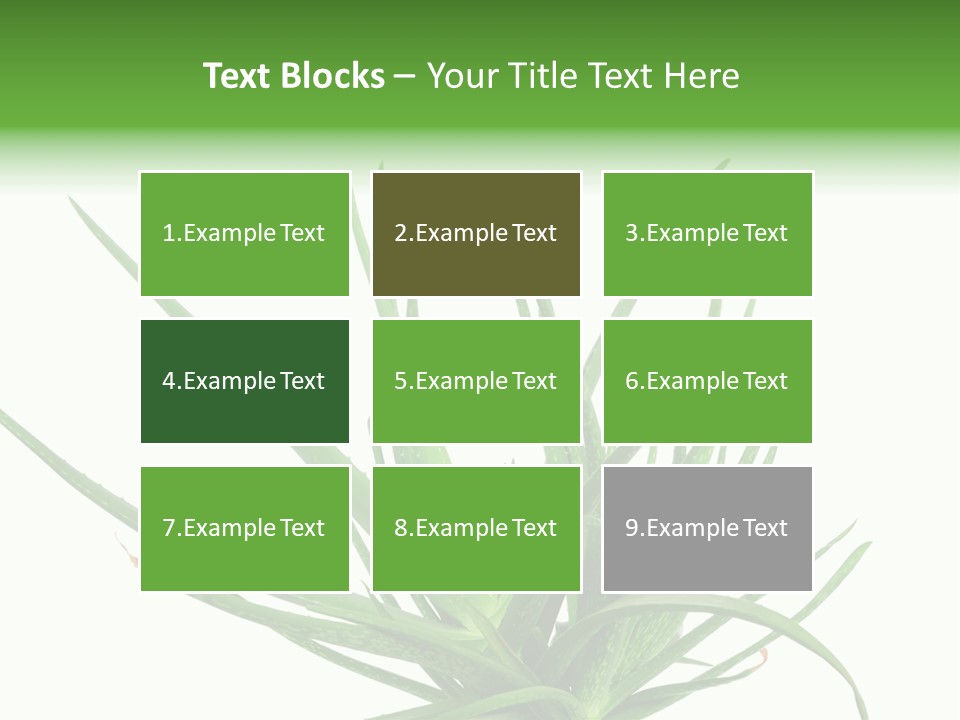 Latte Fresh Froth PowerPoint Template