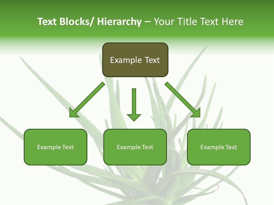 Latte Fresh Froth PowerPoint Template
