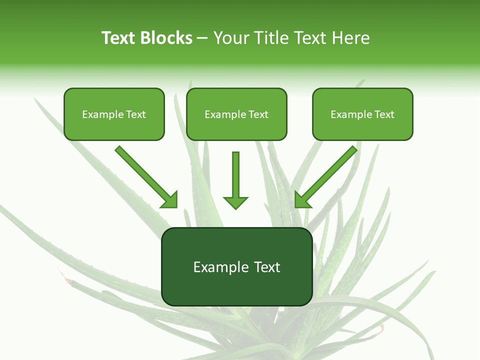 Latte Fresh Froth PowerPoint Template