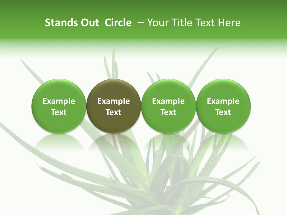 Latte Fresh Froth PowerPoint Template