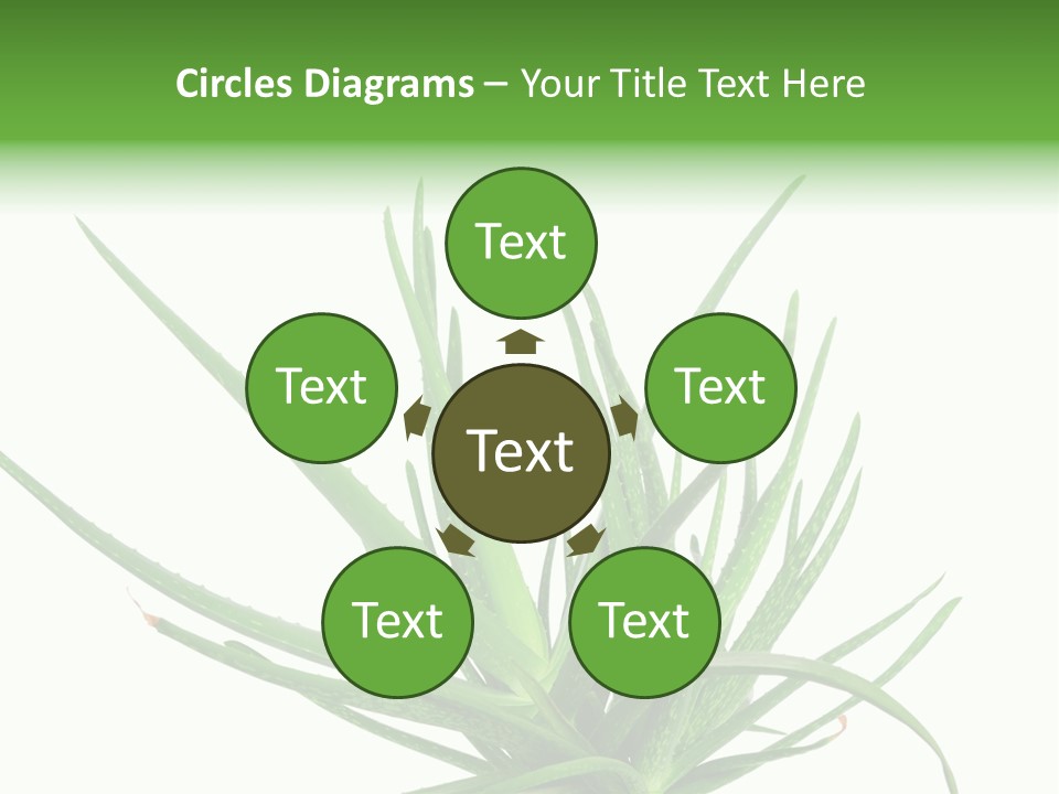 Latte Fresh Froth PowerPoint Template