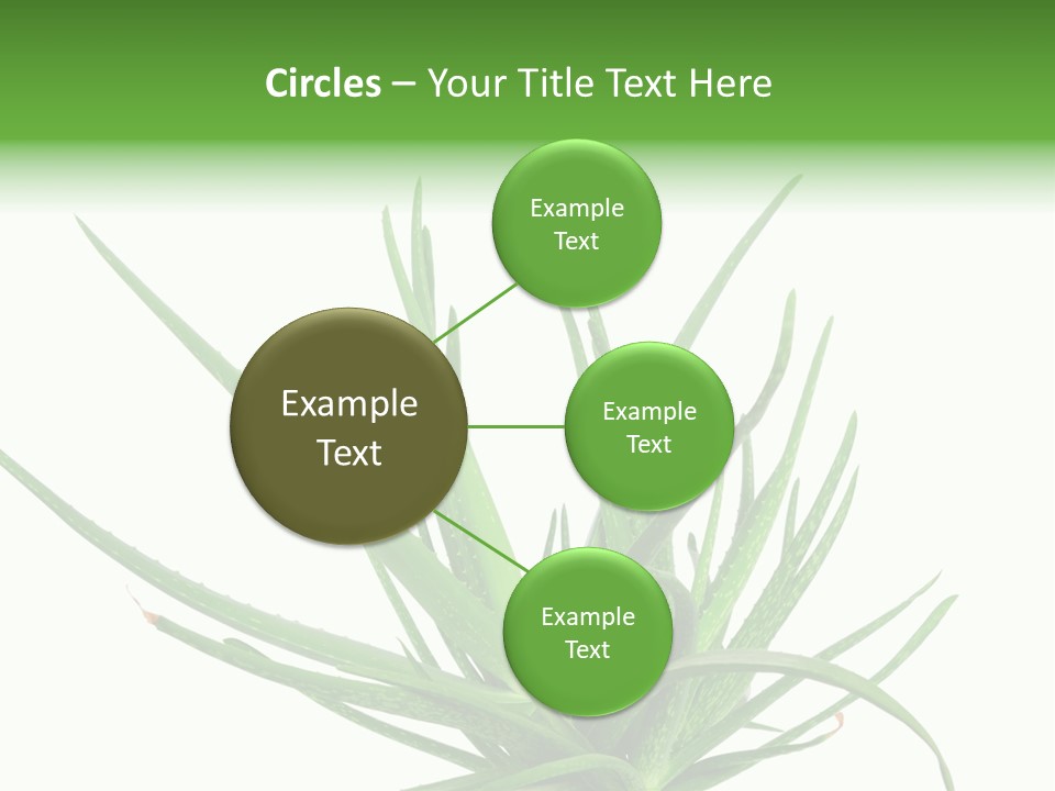 Latte Fresh Froth PowerPoint Template