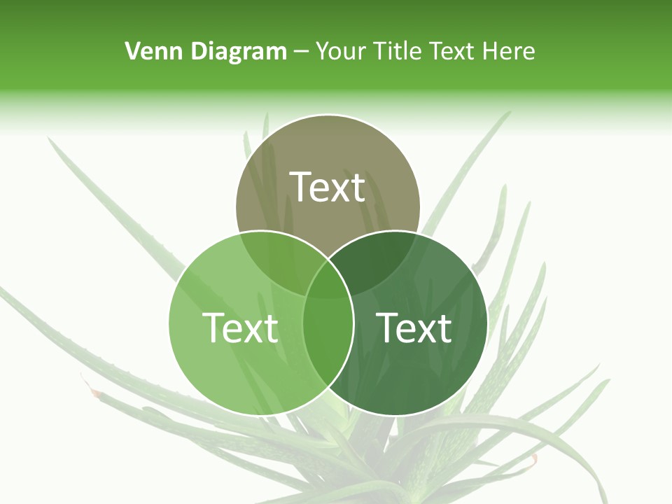 Latte Fresh Froth PowerPoint Template