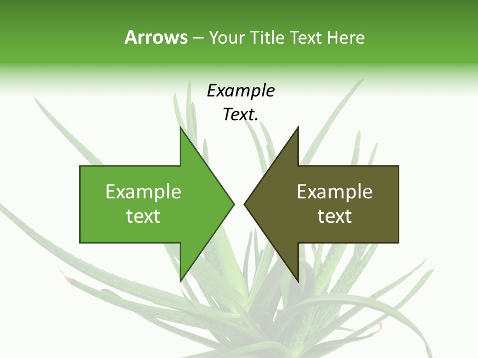 Latte Fresh Froth PowerPoint Template