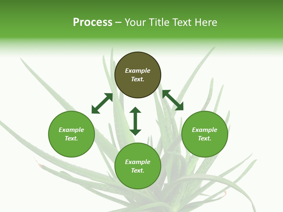 Latte Fresh Froth PowerPoint Template