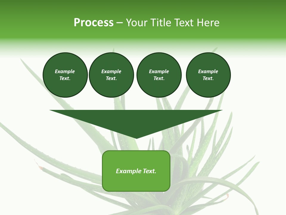 Latte Fresh Froth PowerPoint Template