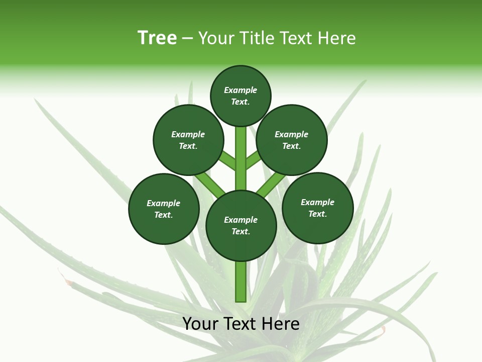 Latte Fresh Froth PowerPoint Template