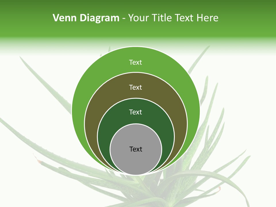 Latte Fresh Froth PowerPoint Template