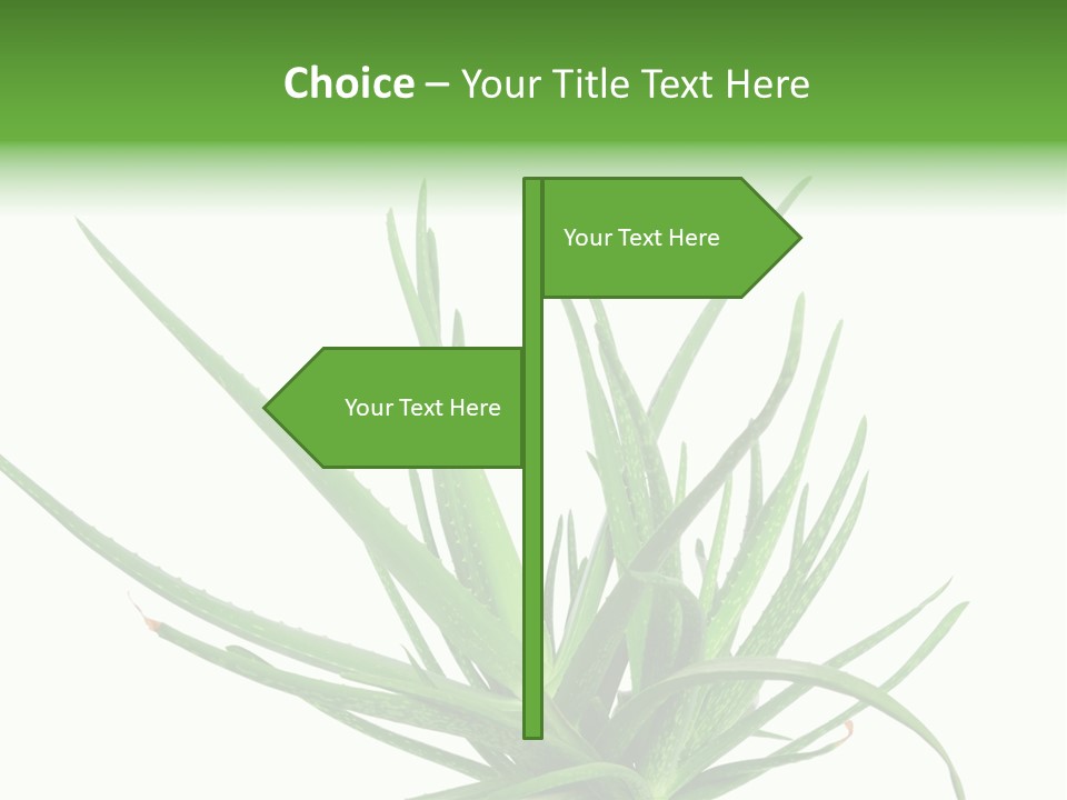 Latte Fresh Froth PowerPoint Template