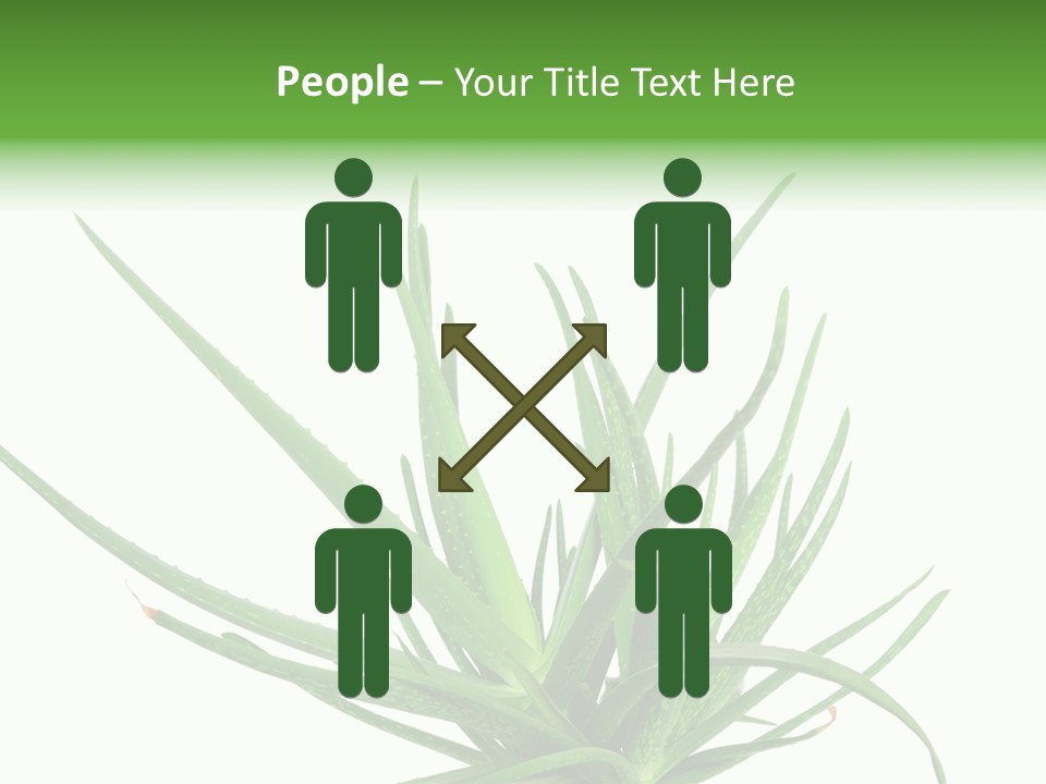 Latte Fresh Froth PowerPoint Template