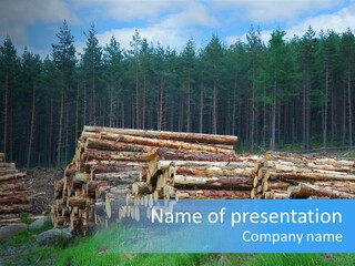 Solid Log Pile PowerPoint Template