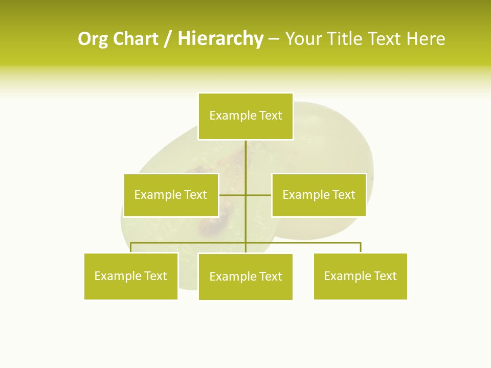 Vine Bunch Group PowerPoint Template