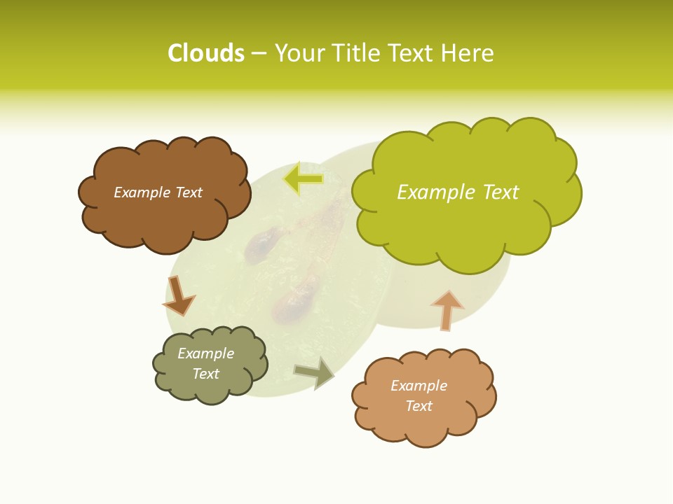 Vine Bunch Group PowerPoint Template