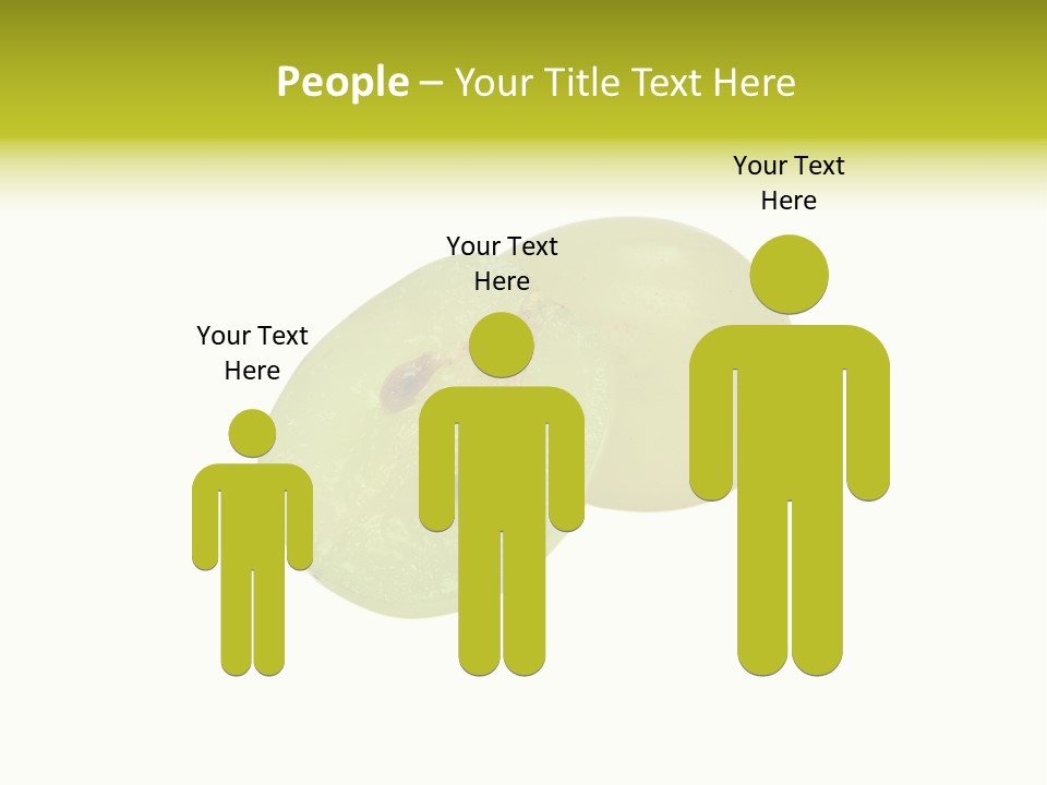 Vine Bunch Group PowerPoint Template